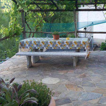 Apartament Casa Neva Cannobio Zewnętrze zdjęcie